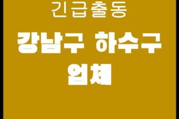 강남구 하수구 업체 4160