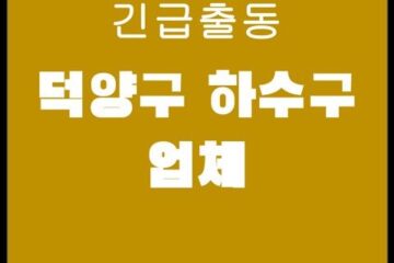 덕양구 하수구 업체 4105