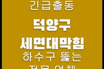 덕양구 세면대막힘 4744